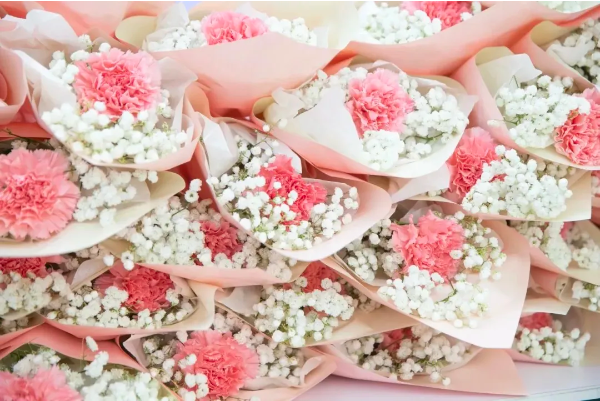 1728875136671109.png 72661f51-3e31-4bc0-9bb2-caa0d918ea9b.png